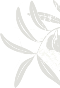 Olive watermark